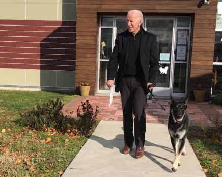 真成跛腳總統了，拜登遛狗摔倒致骨裂，能否健康完成交接成為懸念