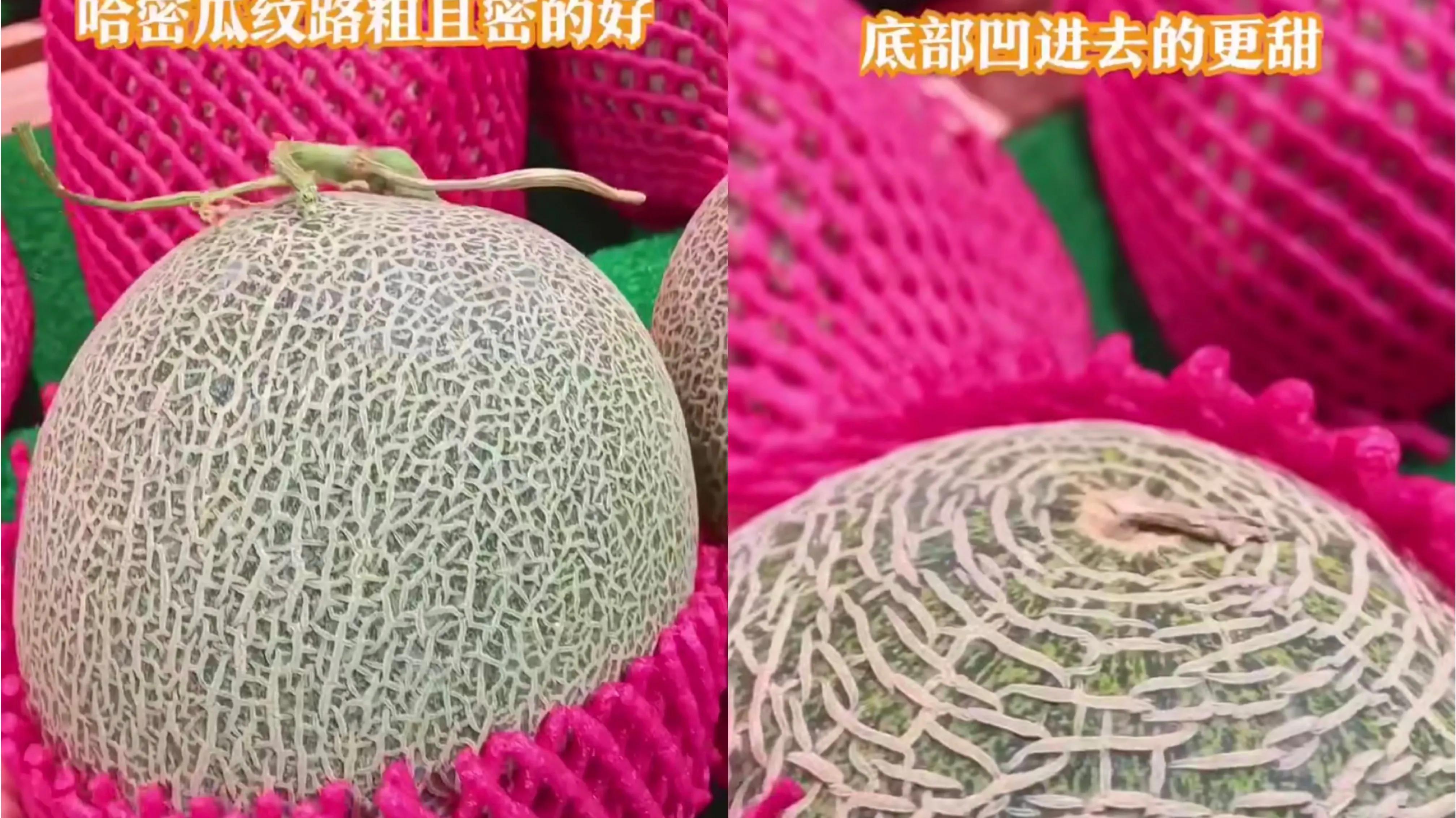 幾招教你挑選好的水果