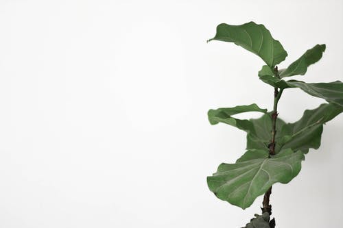 人到中年婚姻不幸福，有三步行动，帮你提升婚姻质量，挽回幸福