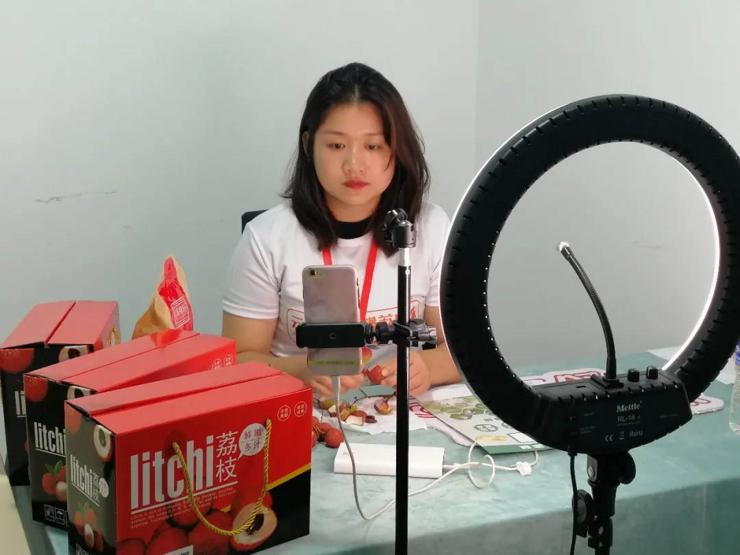荔枝节丨在海丰分会场开启啦