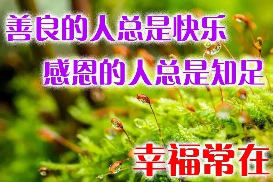 早上好问候祝福图片带字，最美清晨早安动态表情图片图片