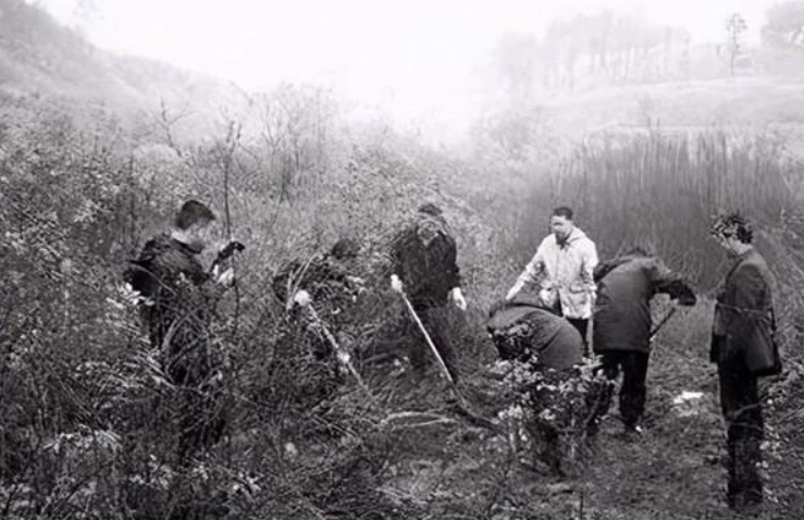 怨恨父母偏心，21岁女孩伙同男友将弟弟妹妹活埋，2000年佛山凶杀案始末