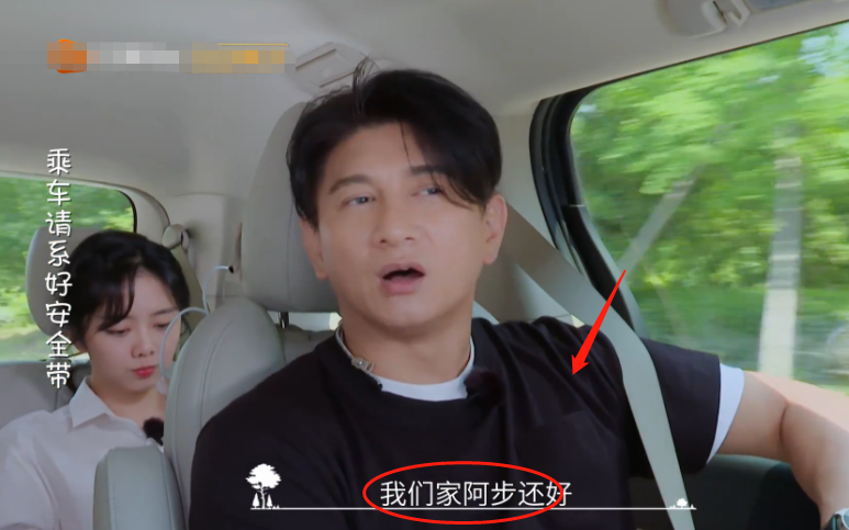 吴奇隆节目首谈儿子，公开小名“步步”含义，都是对刘诗诗的爱啊