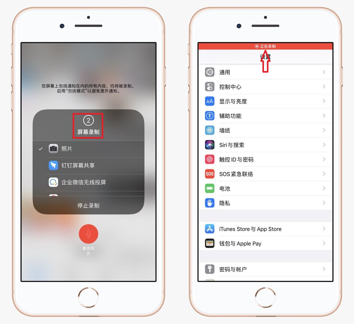 原来苹果手机自带录屏功能，同时还能录制声音，教你如何打开