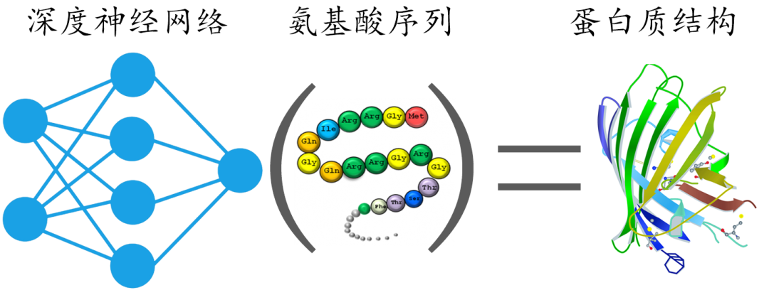 会预测蛋白结构的AI，还要教我们设计新蛋白