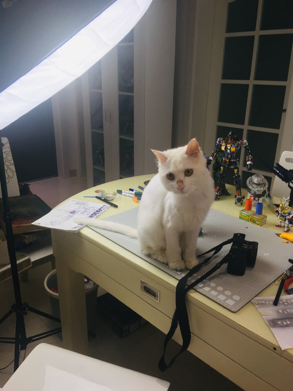 晋江月逝水是谁找到了吗晋江月逝水老公照片陈博鉴出轨事件始末