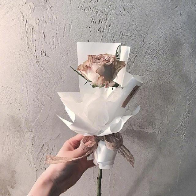 关于描写爱的优美句子 暧昧不清容易让人迷失自我，忽冷忽热则容易把人变得白痴图片