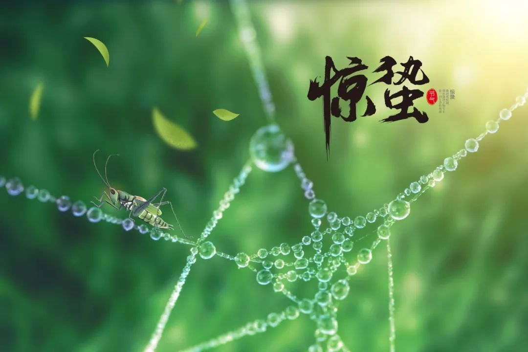 12首惊蛰诗词：惊雷一声，万物春回-第4张图片-非凡网