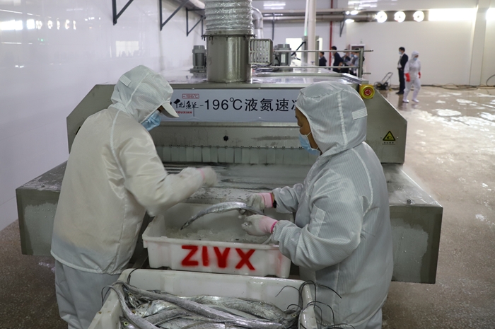 我們?yōu)槭裁匆x擇液氮速凍機