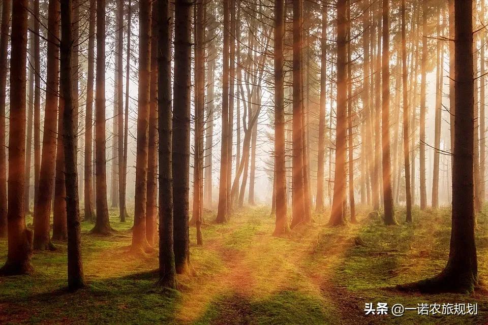 疫后文旅行业如何应对循环战略，谋求新的发展？