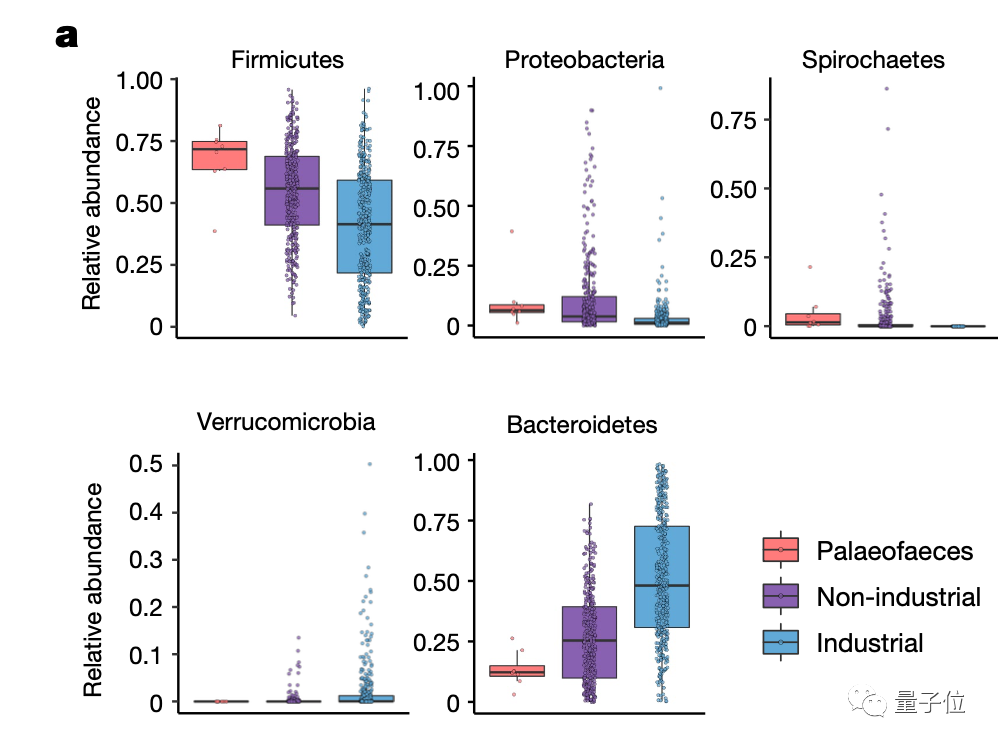 8坨穿越千年的便便，讓哈佛科學家找到治療糖尿病的線索 | Nature