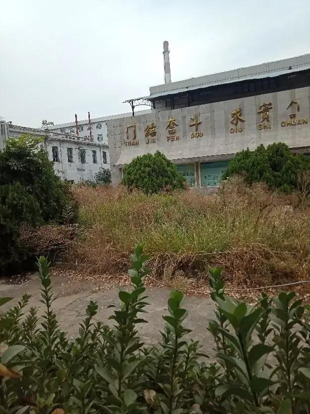 鲁抗医药再一次震撼了济宁西郊。老厂区的百米烟囱爆破了