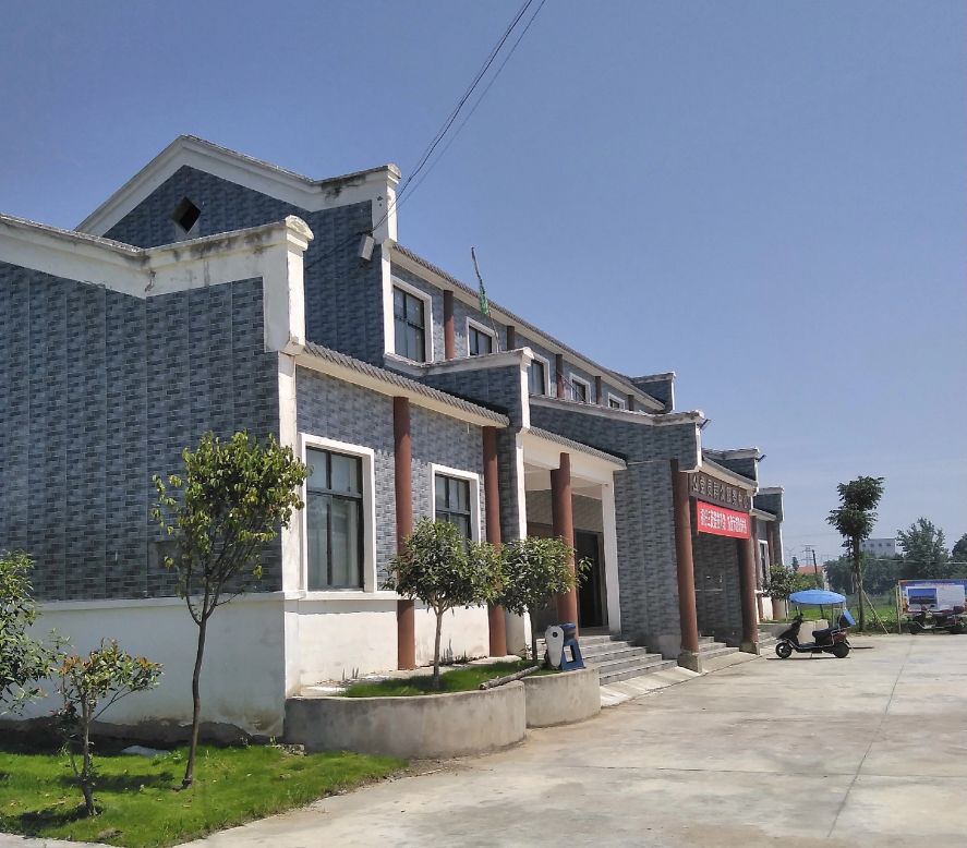 桥市镇柴湖村：化蛹为蝶不寻常
