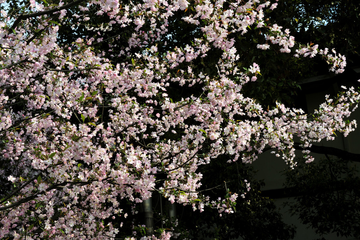 你觉得创业必须要具备哪些条件？