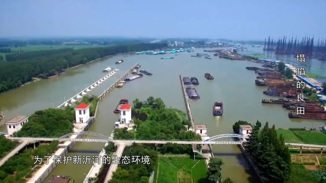 法治天下 | 夜晚偷采矿砂，放藏獒对抗检查，为何如此嚣张？