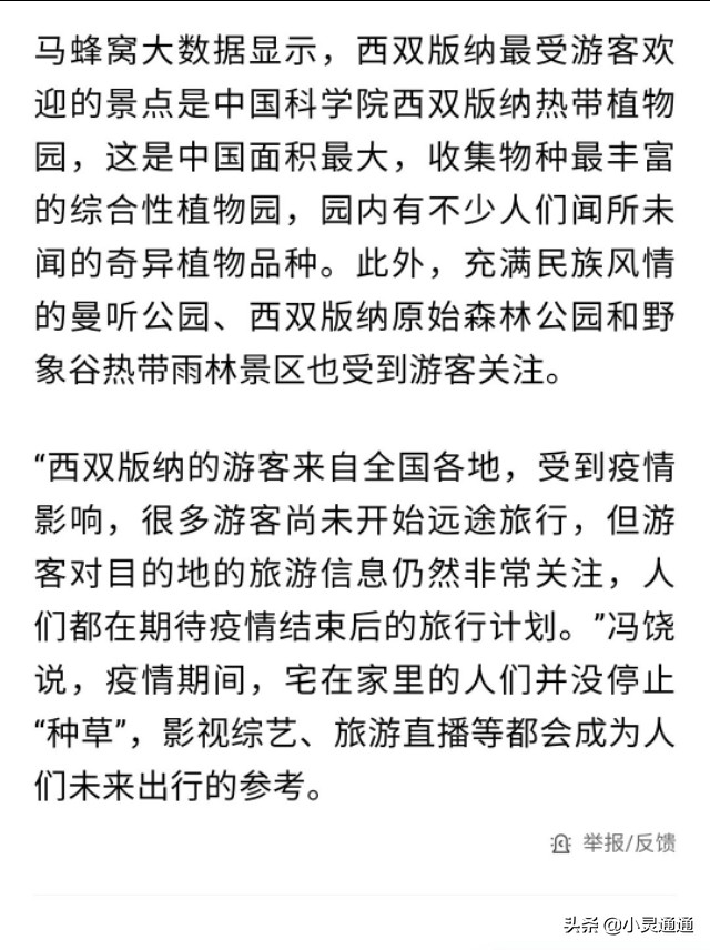 开播引起了西双版纳旅游热，芒果台综艺还挺能带动当地旅游业的？