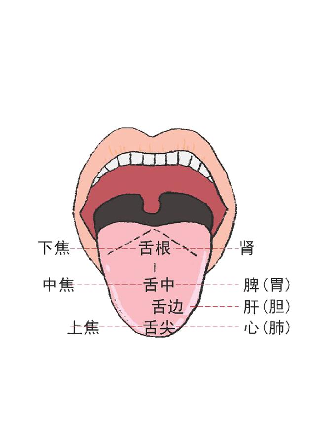 你知道吗？看舌头就能知道你身体的健康状况
