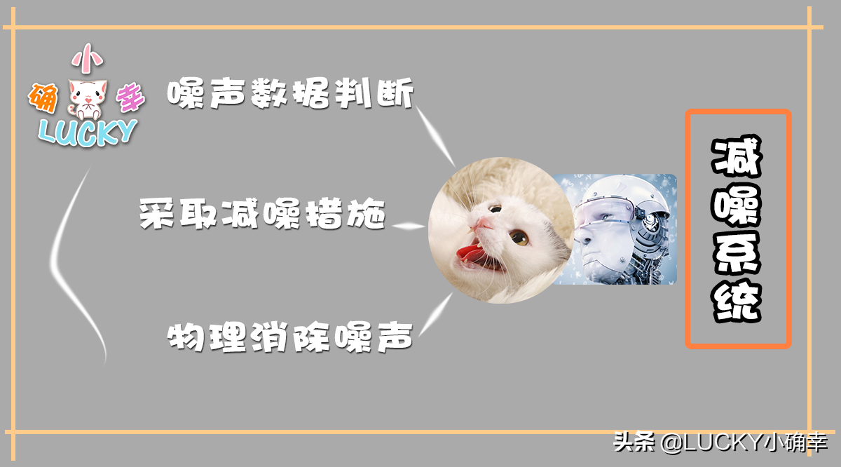 养猫遇上烦心事怎么办？“智能家居”替你解忧