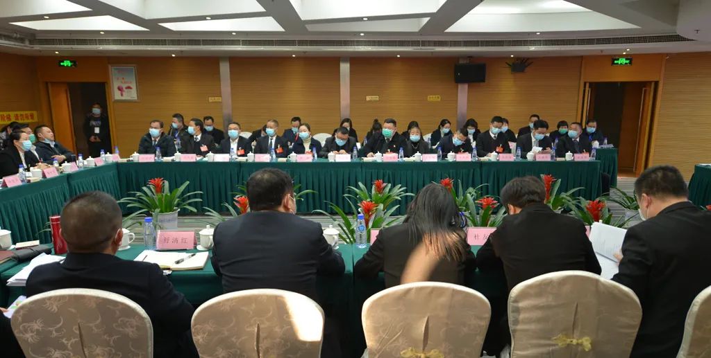 【图片新闻】市五届人大五次会议各代表团举行分组讨论