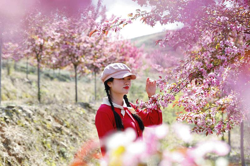 随州春光里的“花花世界”迎来“赏花游”的“高光时刻”