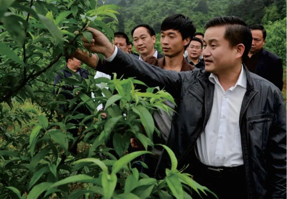 奋力推进人大工作阔步向前——洪江市人大常委会2020年工作纪实