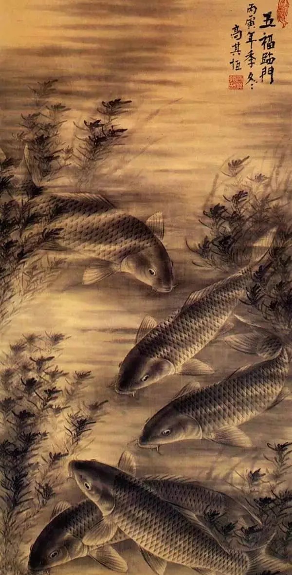 魚(yú)，太漂亮了