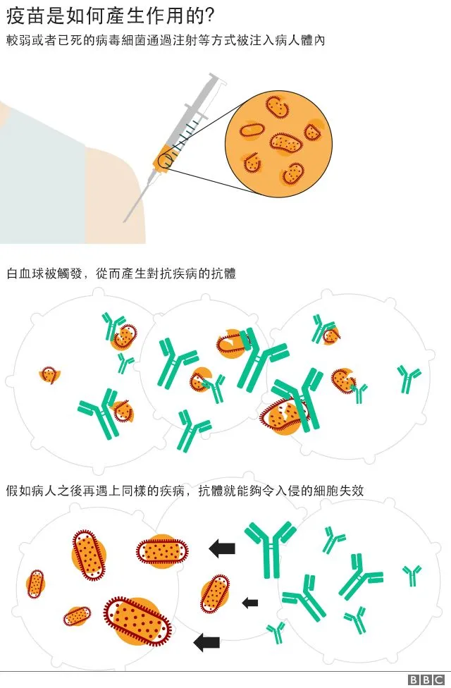 哪家疫苗最好?辉瑞、莫德纳、强生疫苗全方面对比