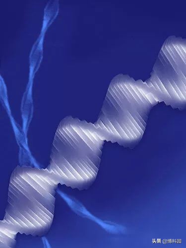扭曲晶体！科学家制造出：DNA螺旋状的新材料