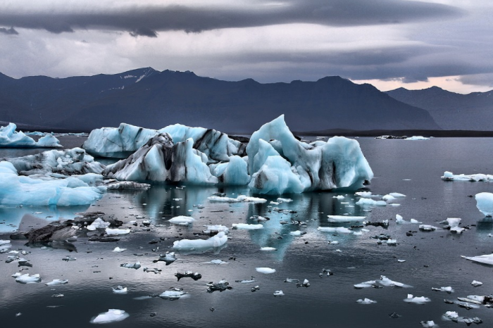 紧迫！北极永冻土融化，科学家发现40万年前活微生物竟“重生”