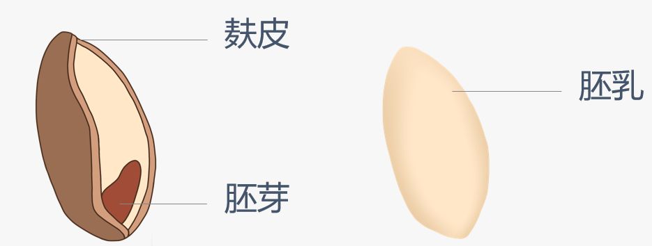 痔疮的“死敌”是谁？