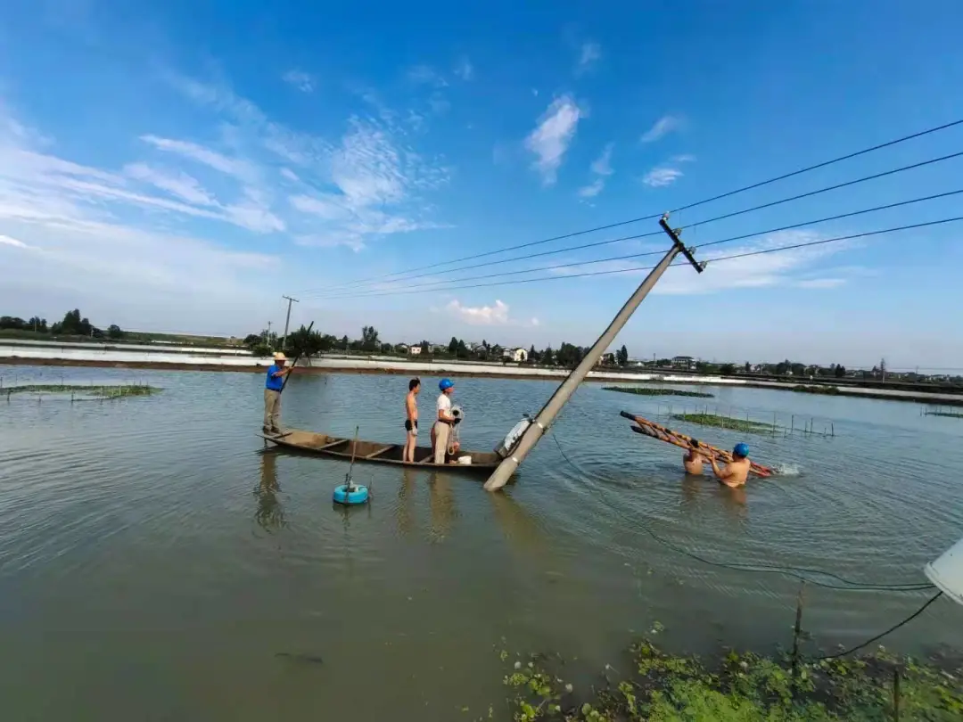 供电员工涉嫌&ldquo;电诈&rdquo;？真相让人心酸