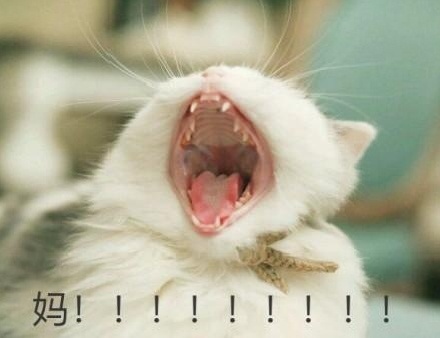 水电施工需要开槽的地方有这些 | 东方一木科普