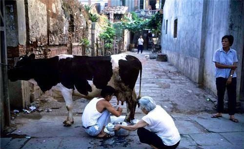 1983年中国珍贵历史老照片，矜持的男女关系，拉风的警察叔叔