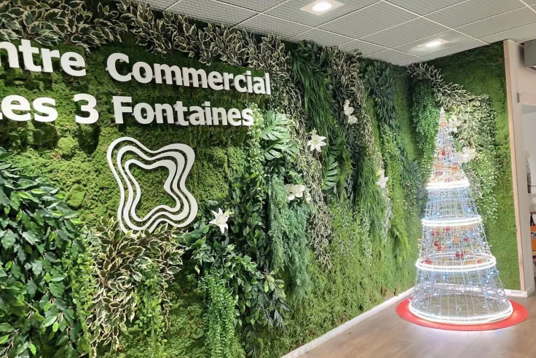 马爸爸赶快“统治”欧洲吧!我在法国的那些令人窒息的网购体验