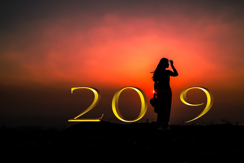 一组2019新年的创意图片，方便大家发朋友圈