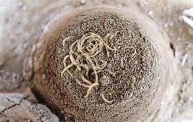 古埃及和中国古代的出土文物对比——谁在“造