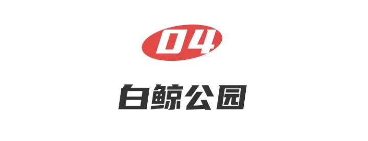 45edea56c170486a86b85c6fb0388136?from=pc
