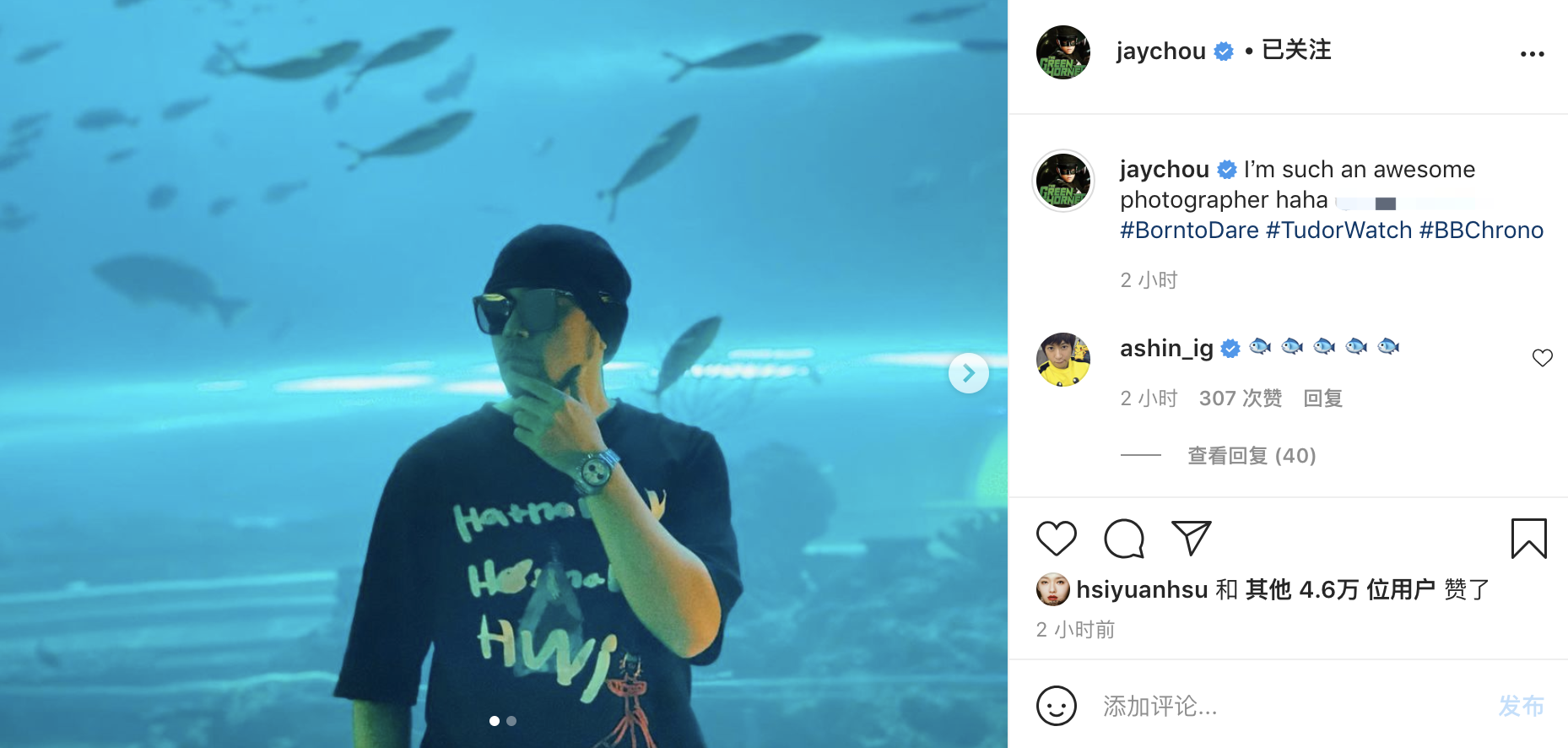 周杰倫耿直回應新專輯進度，帶妻兒游水族館，女兒與白鯨搞笑互動