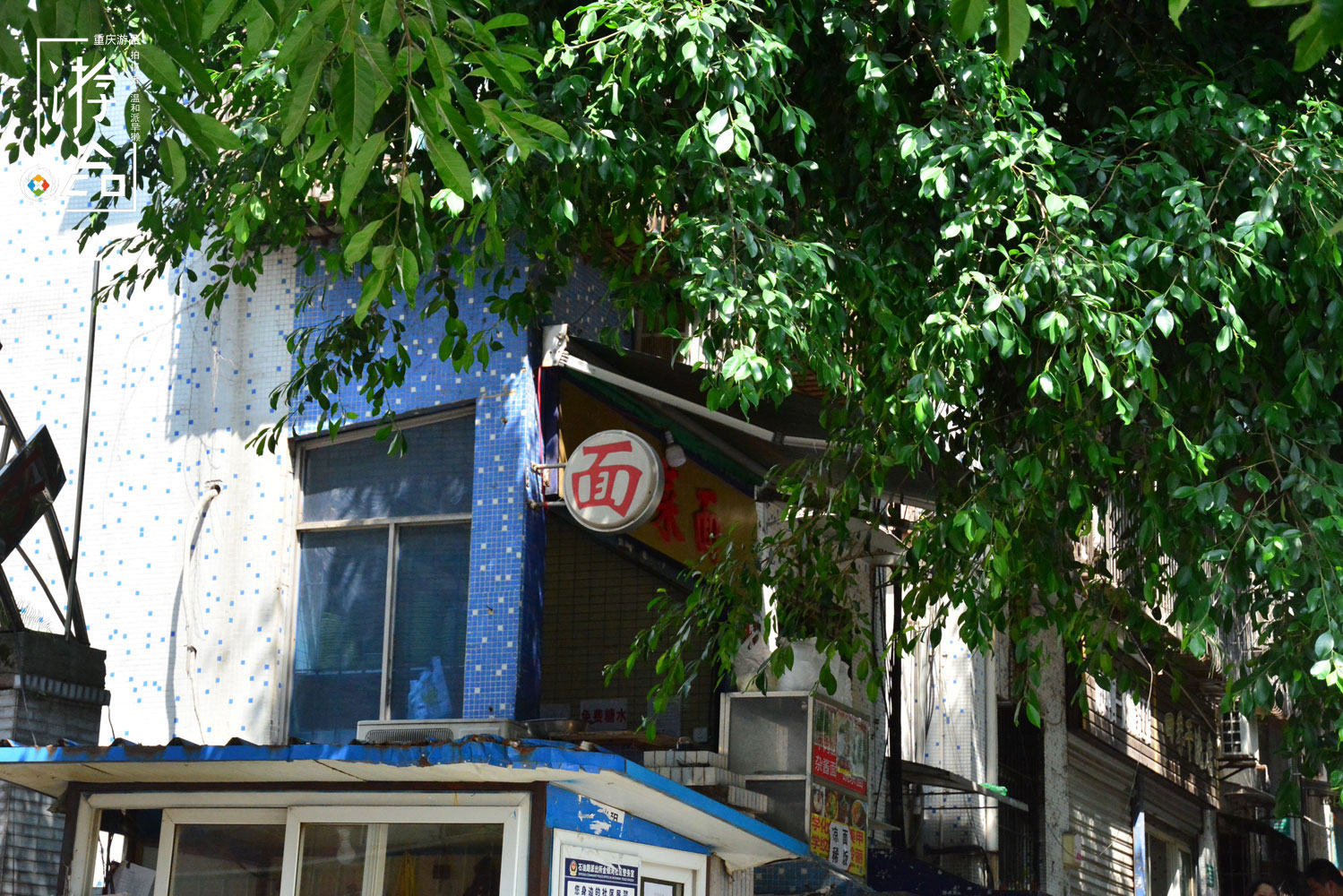 在重庆吃菠菜面条，没有肉却比小面还贵，老板每天限量供应