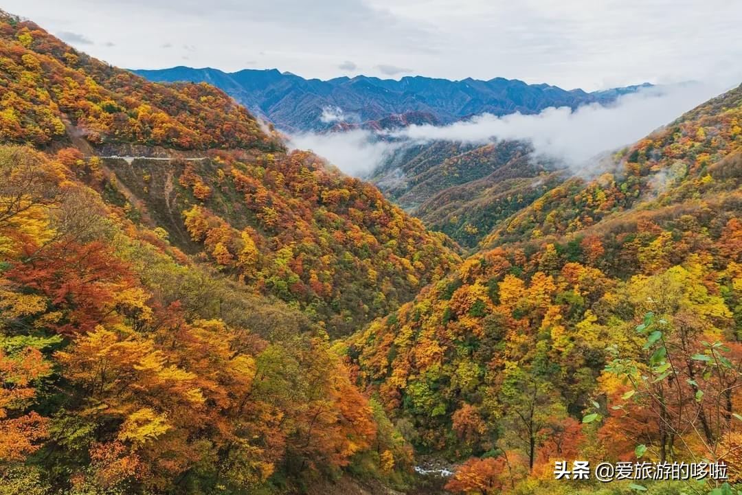 The best place to travel in October-November, the late autumn tour bus is about to depart