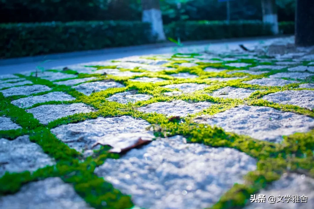 江南，那一场不愿醒来的梦