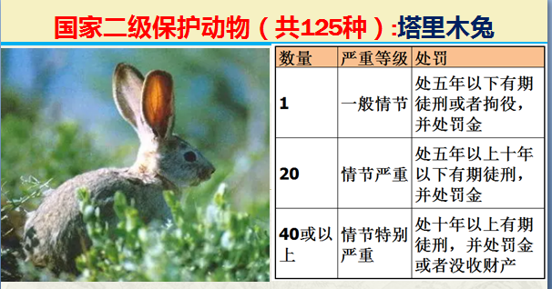 国家最新125类二级野生保护名录，图片及违法对应刑责