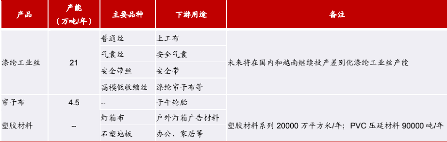 细分行业龙头之海利得（车用工业涤纶的隐形冠军）