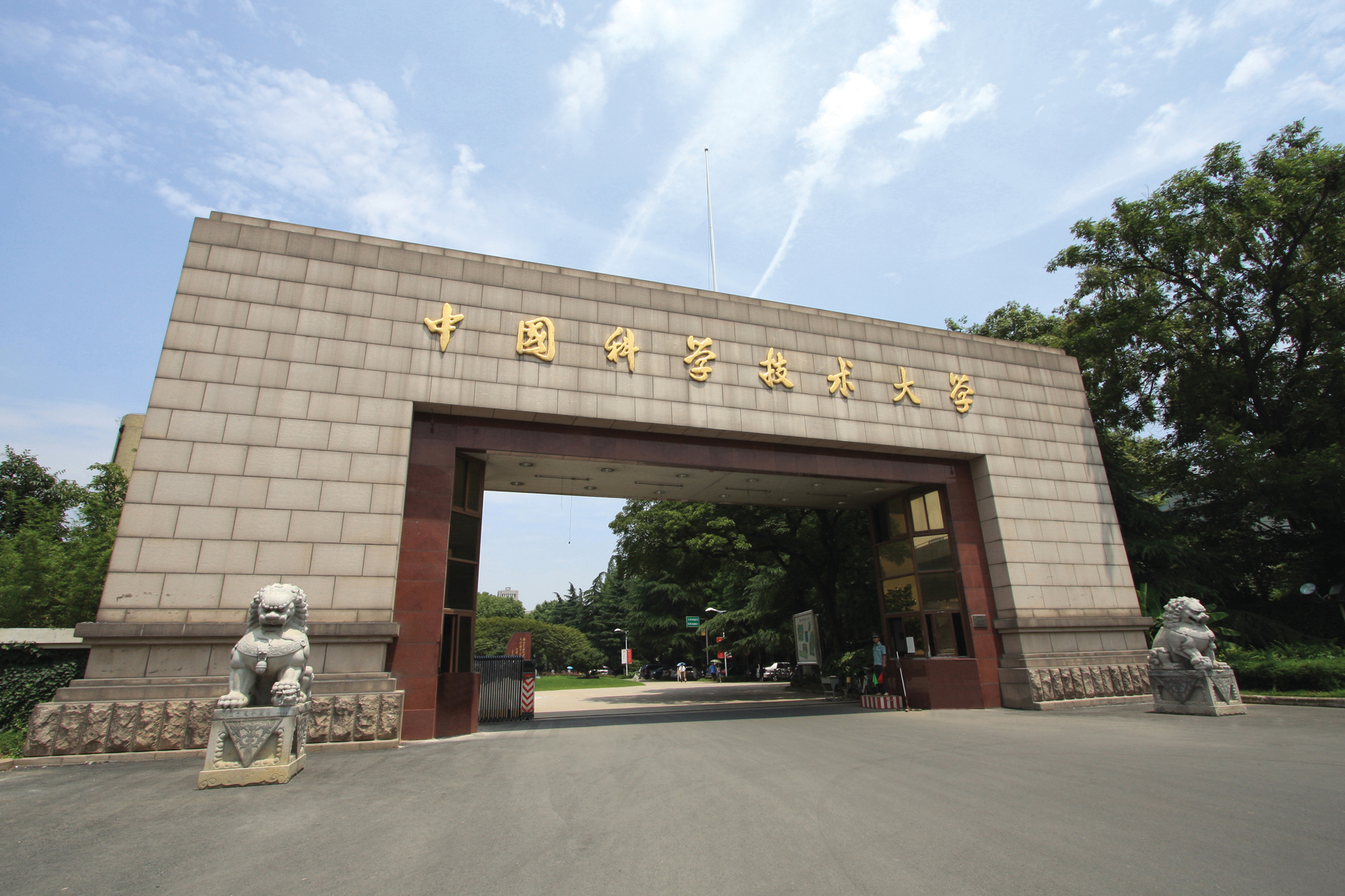 合肥的“豪赌”成功了吗？