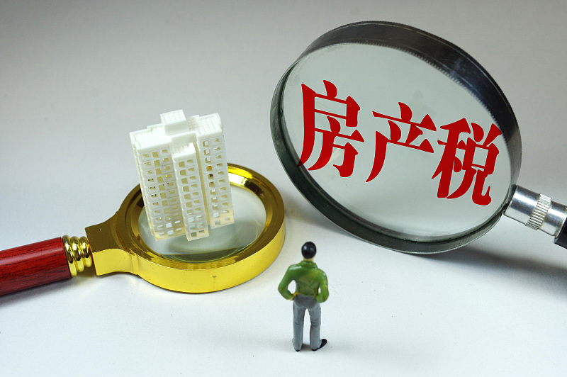 “囤房者”或全面消失，社科院提出建议，专家