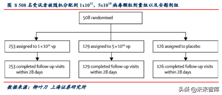 新冠疫苗专题报告：临床数据亮眼，全球开始签订采购意向