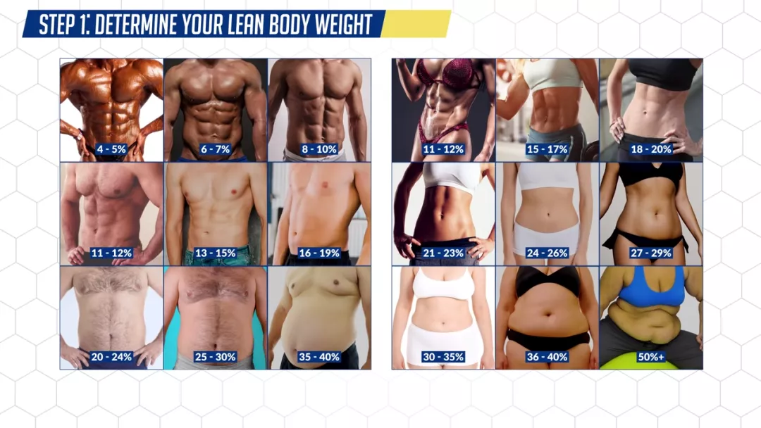 健身模特 究竟坚持减脂多久 才能拥有 六块腹肌 技術討論區草榴社區 健身模特 究竟坚持减脂多久 才能拥有 六块腹肌 技術討論區草榴社區