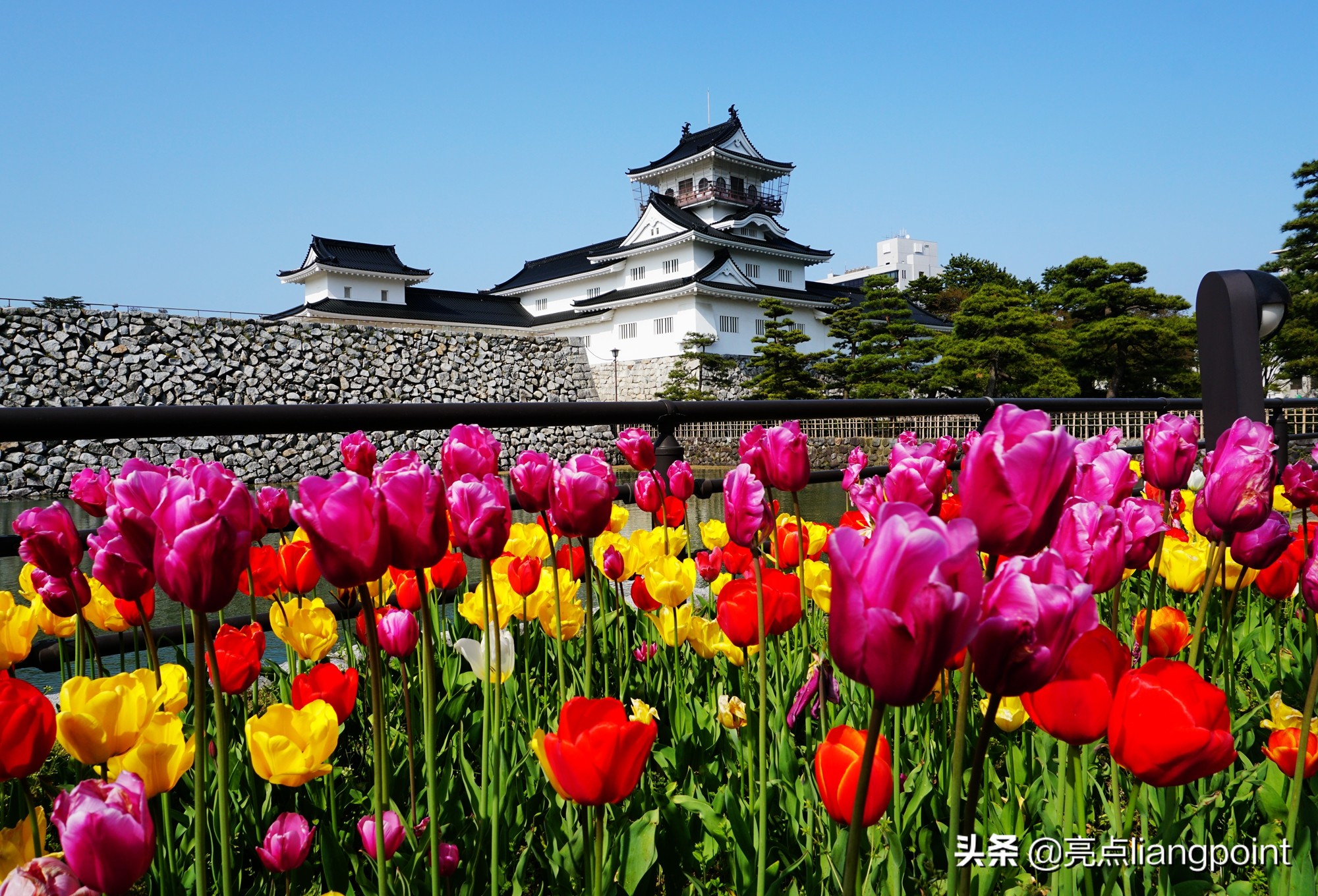 富山市一日游 日本旅游不应错过这座小而美的城市 亮点liangpoint Mdeditor