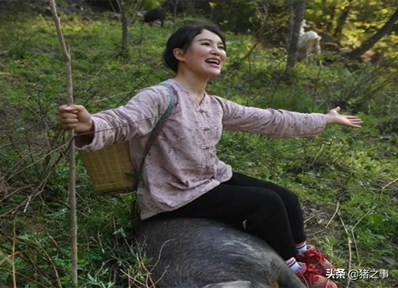厉害！90后美女放弃城市工作，回家养黑猪，收入