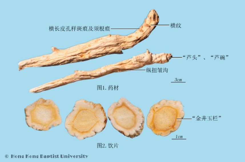 常见中药传统鉴别术语（二）